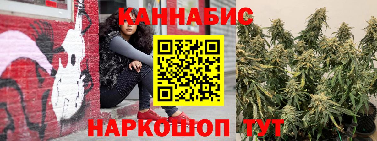 Конопля гибрид  Бошки Шишки SATIVA & INDICA  Вход с VPN  Костомукша  Бошки марихуана Bruce Banner  Бошки марихуана сатива 